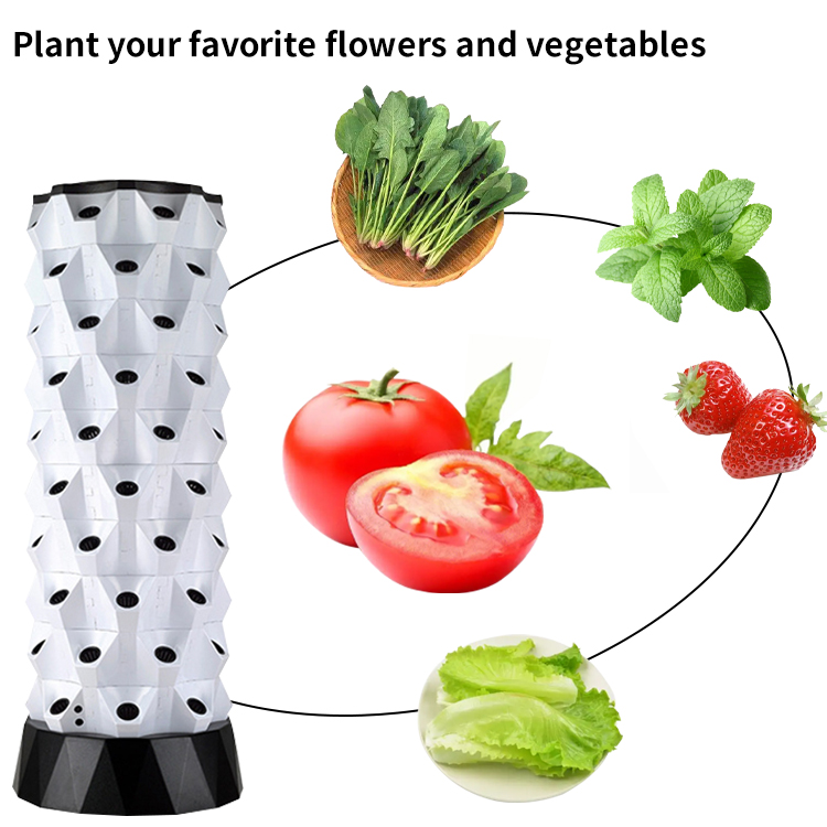 ชุดปลูกพืชไฮโดรโปนิกส์อัจฉริยะ - Smart Garden Watering บทวิจารณ์และราคา