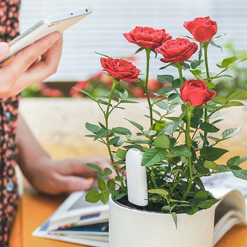HHCC ดอกไม้ Monitor Flora Gard - Smart Garden Water บทวิจารณ์และราคา