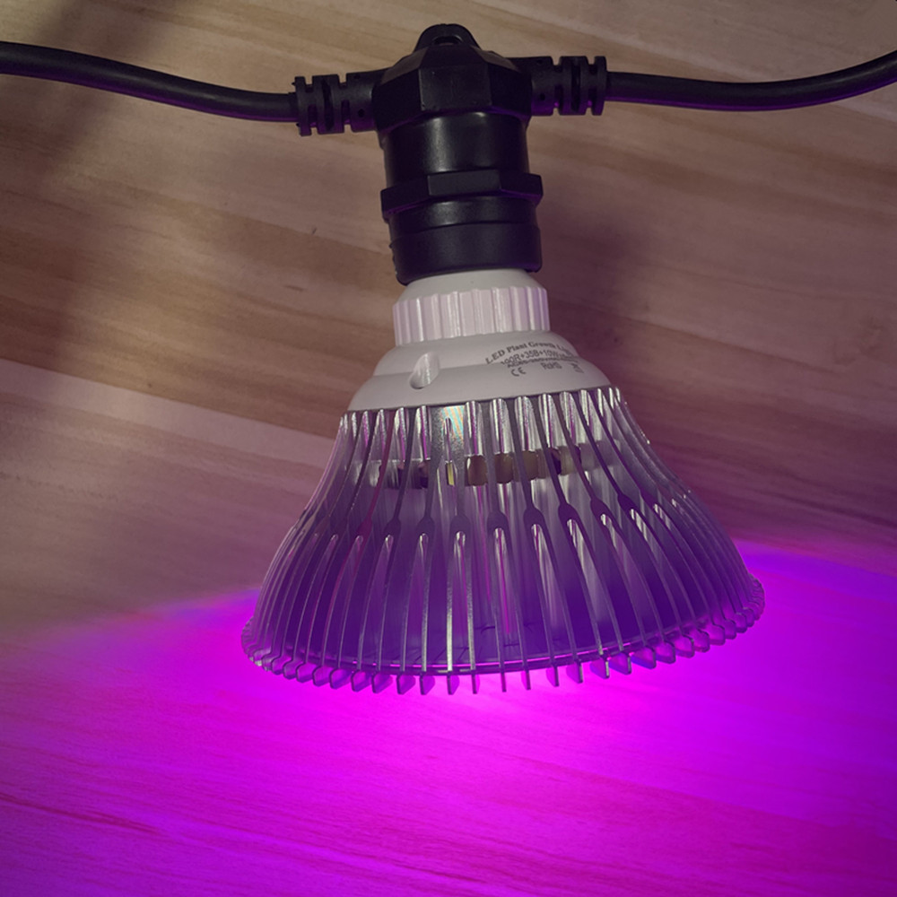 สายไฟ LED ยาว 10 เมตร เกรดเชิง - Smart Garden Lamp บทวิจารณ์และราคา