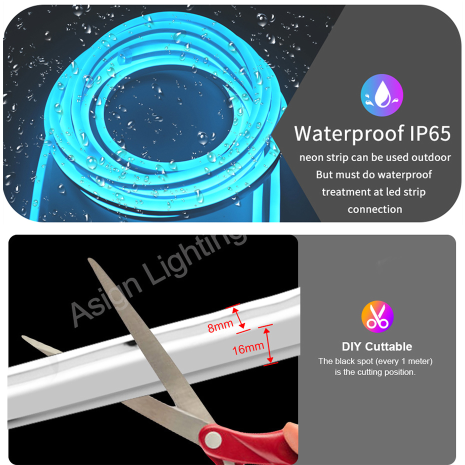 ไฟนีออน LED RGB อัจฉริยะ ปลั๊ก - Smart Garden Uk บทวิจารณ์และราคา